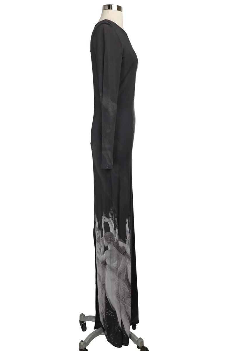 Alice + Olivia Delora Renaissance Fresco Maxi Dress – Audrey's of Naples